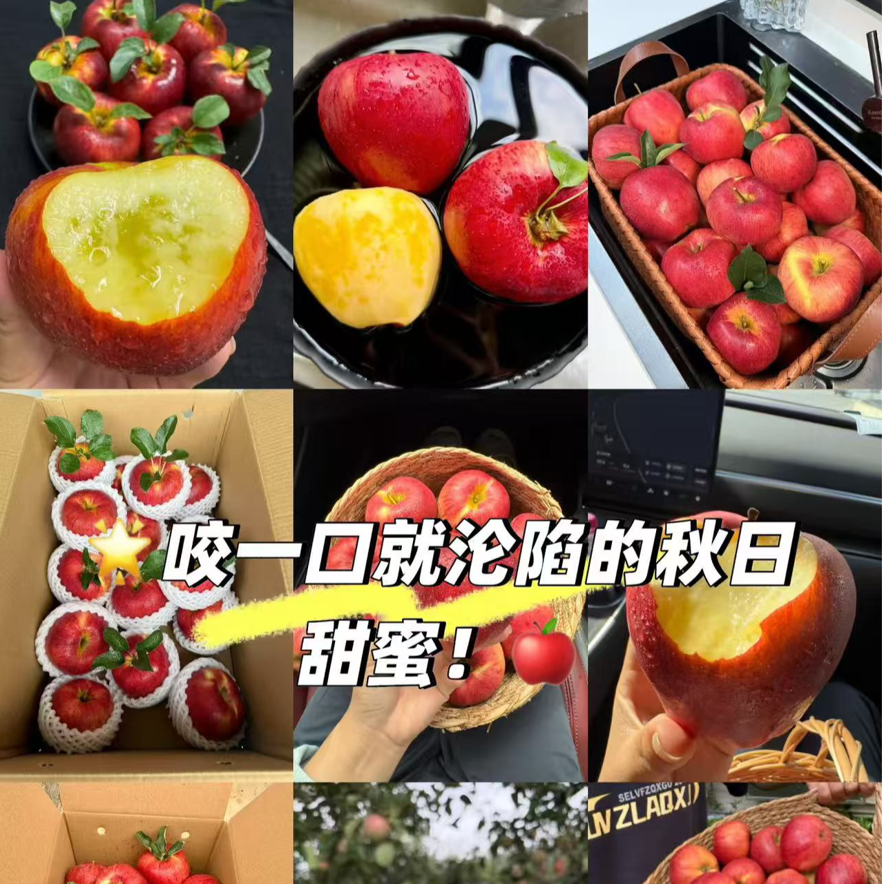 【达吾水果】邵通红露苹果8斤装