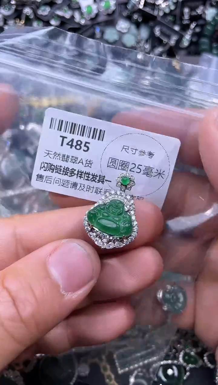 【闪购商品】翡翠颈饰未镶嵌T485吊坠