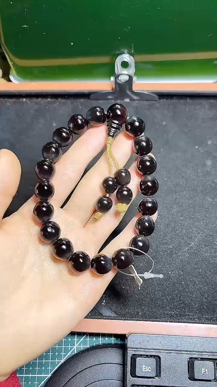 12高山古树无患子19手持卡12.7