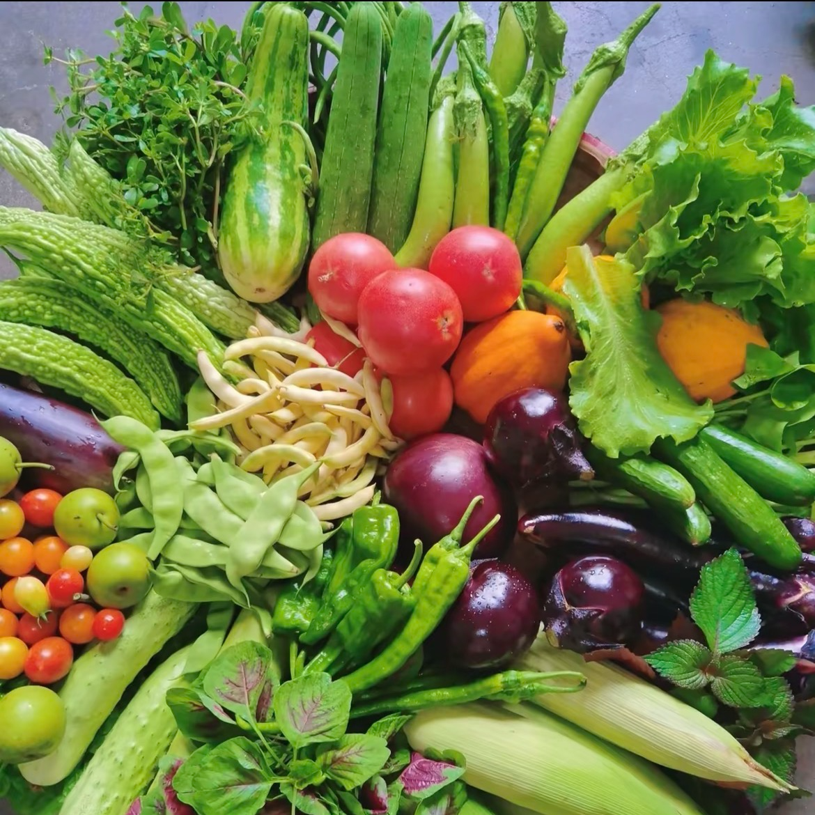 【蔬菜拼盘】应季蔬菜拼盘组合菜新鲜蔬菜kg送货上门江苏省精品新鲜蔬菜