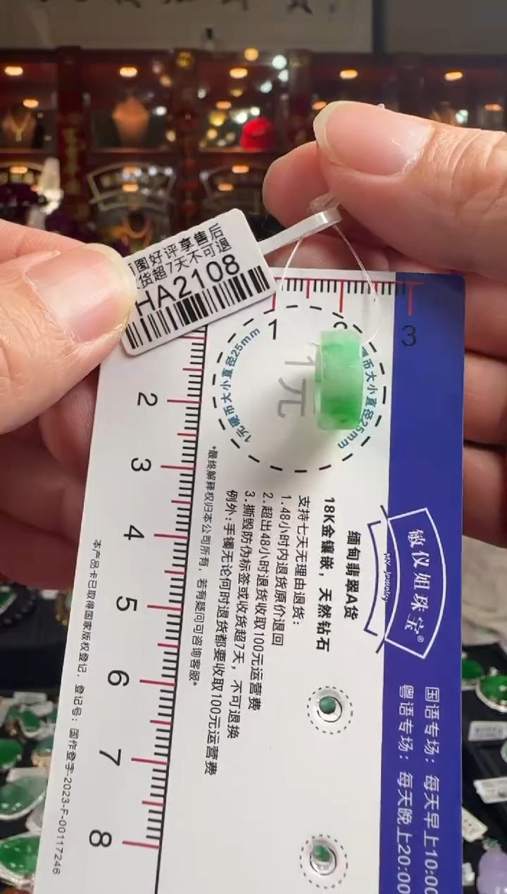 【闪购商品】翡翠颈饰未镶嵌HA2108 冰绿路路通