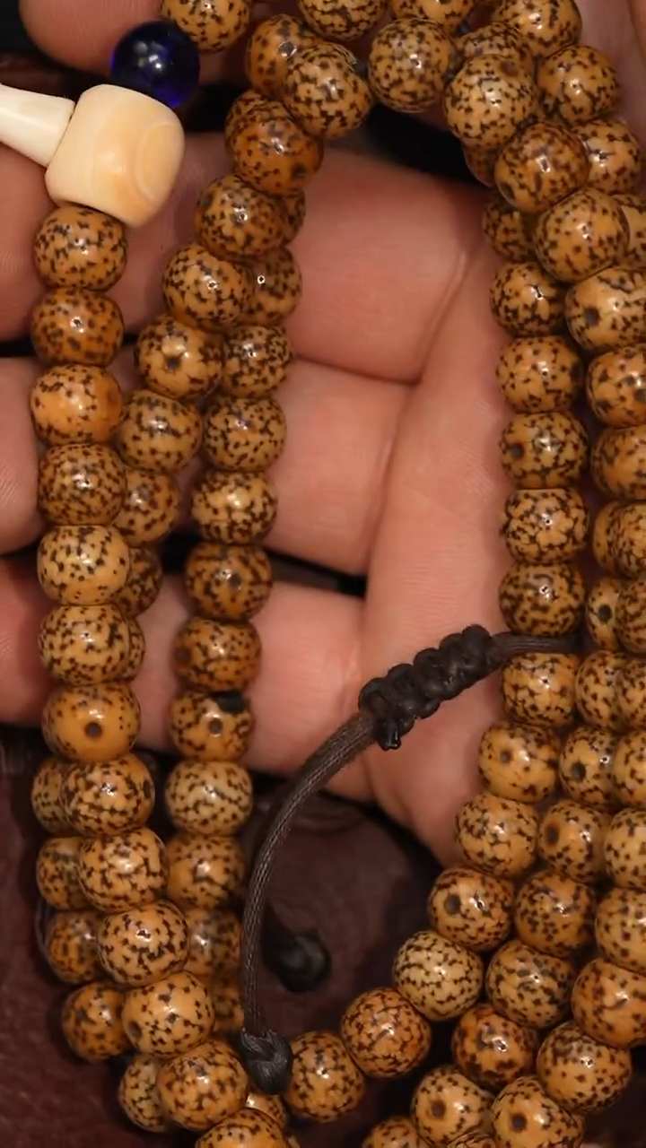 冲赛康胡子哥，藏传念珠228