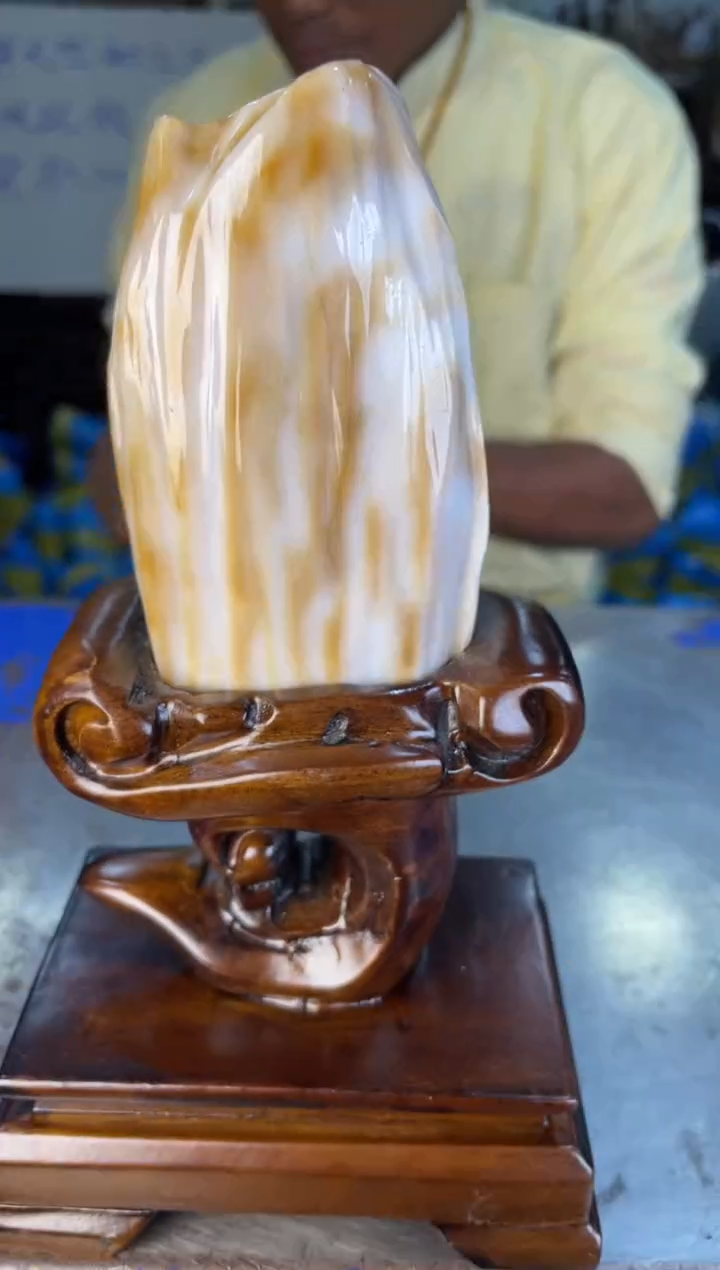 未镶嵌摆件硅化玉1