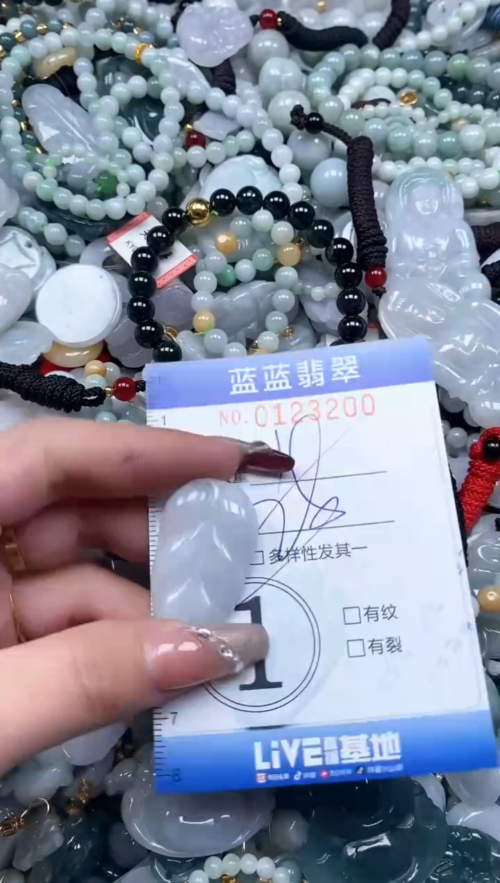 【闪购商品】翡翠颈饰未镶嵌闪购0123200多样性发其一