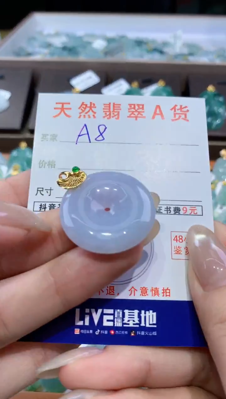 颈饰未镶嵌翡翠天然翡翠A货挂件