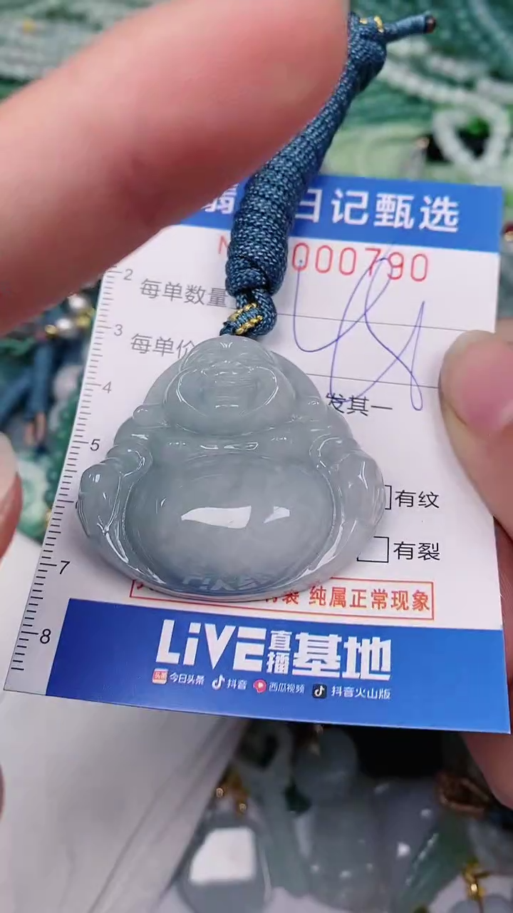 【闪购商品】翡翠颈饰未镶嵌00000790