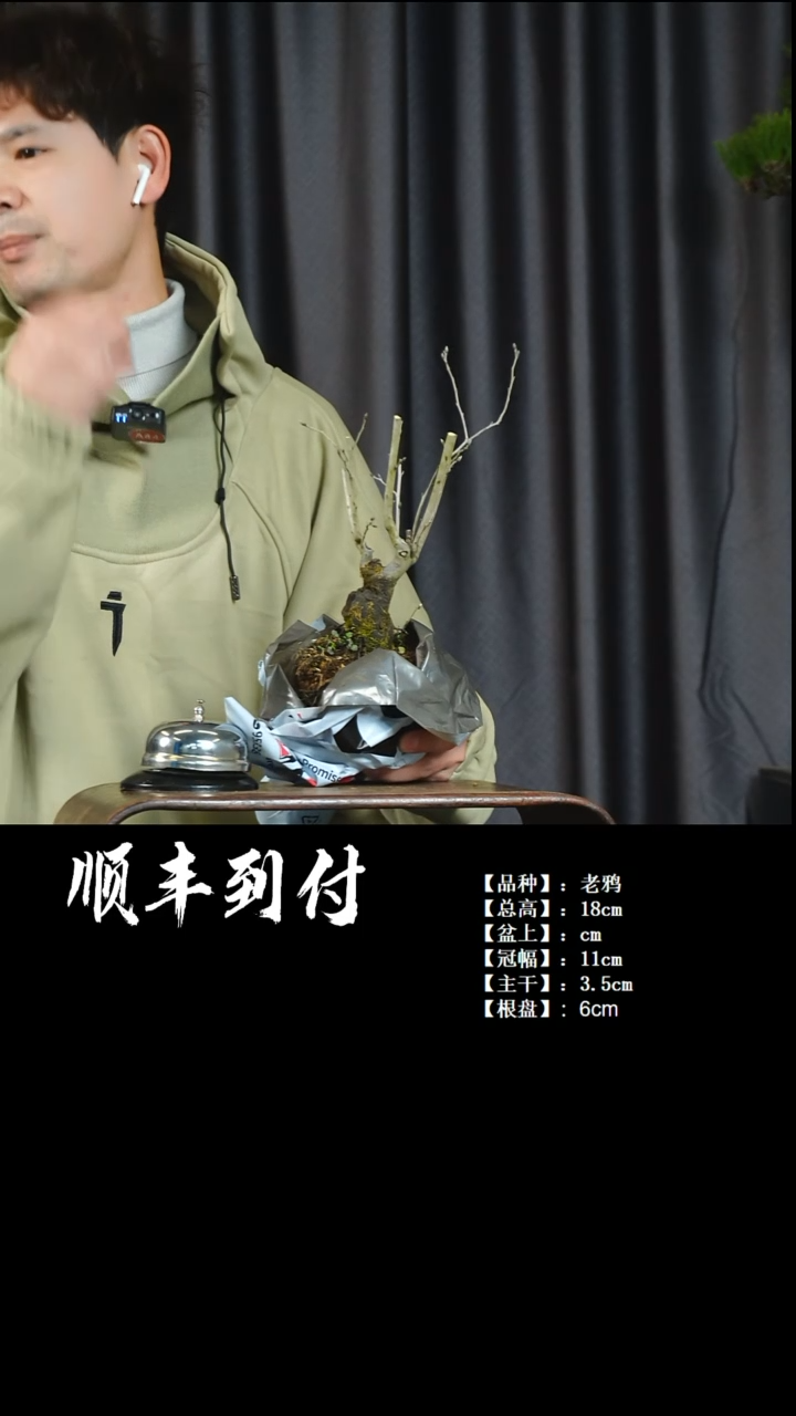 【闪购商品】1v129老鸦bubaoyou