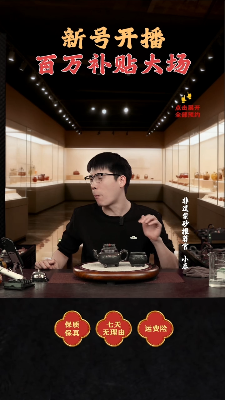 茶壶紫砂1            