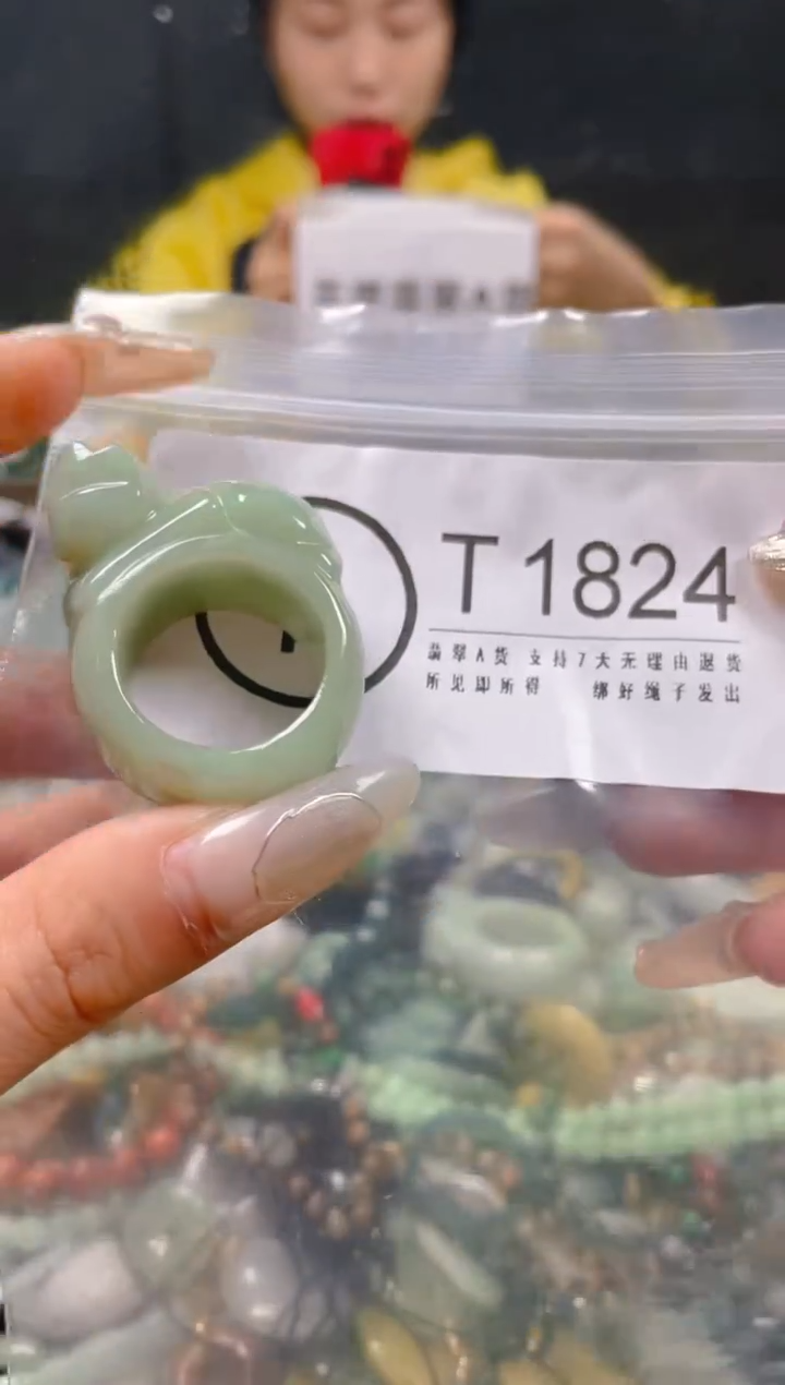 【闪购商品】翡翠颈饰未镶嵌21/T/翡翠A货一图一物