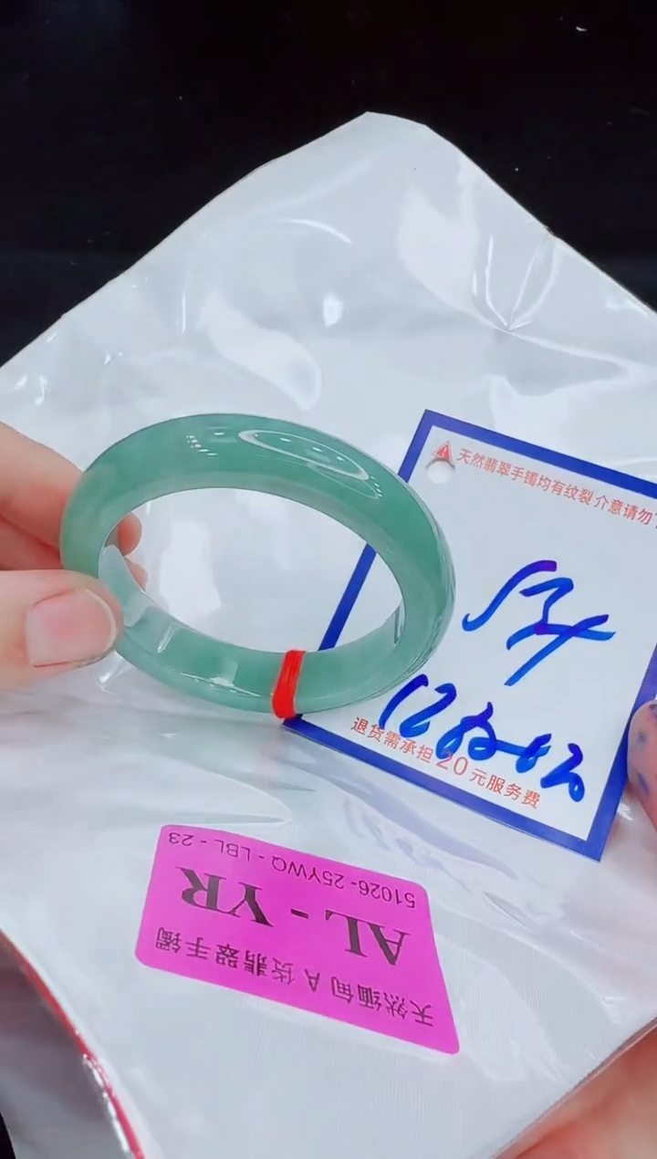 未镶嵌手镯翡翠11111111