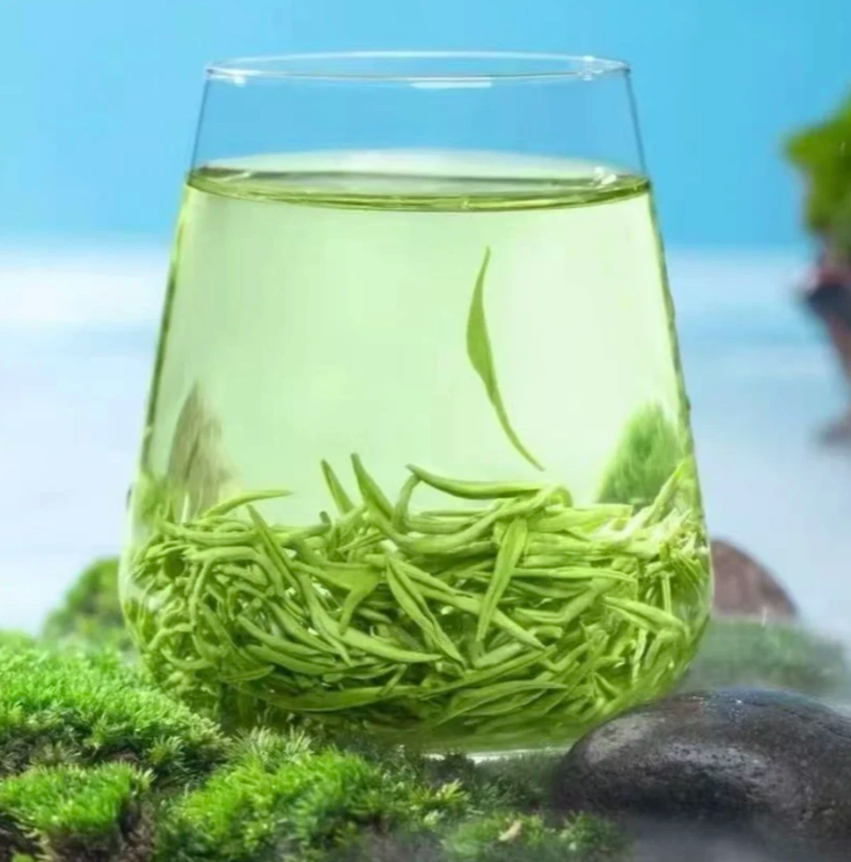 A2025贵州高山云雾绿茶毛尖浓香耐泡型500克