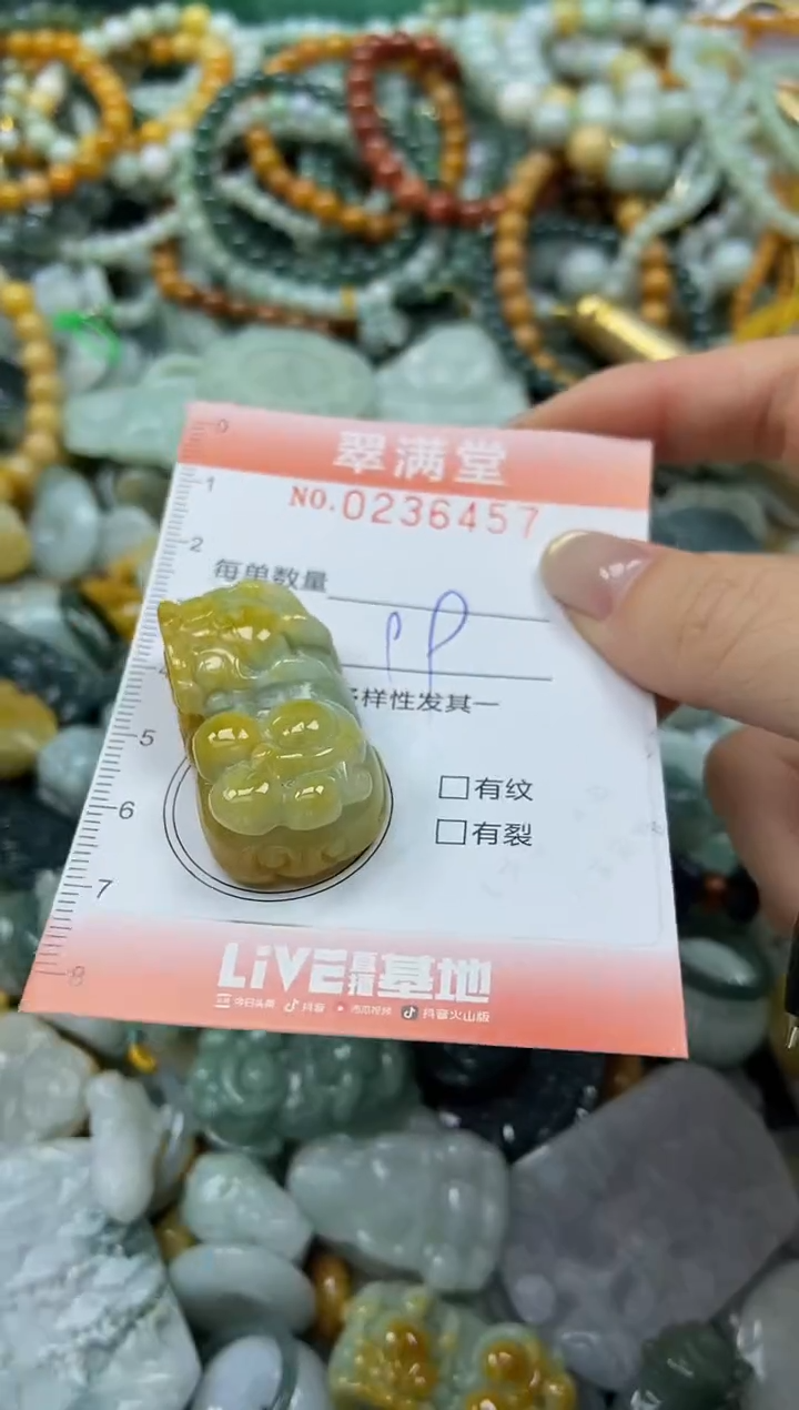 未镶嵌挂件翡翠闪购0236457