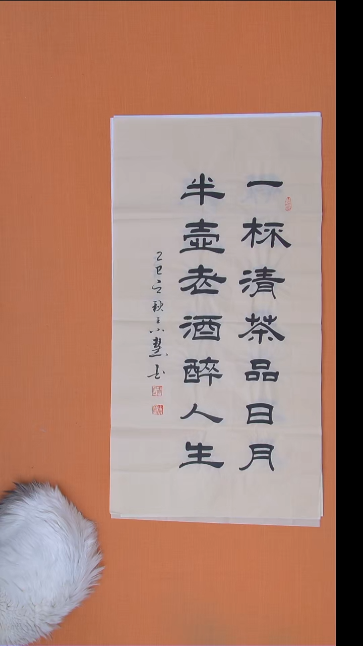 书法王老师纯手写精美作品100*50