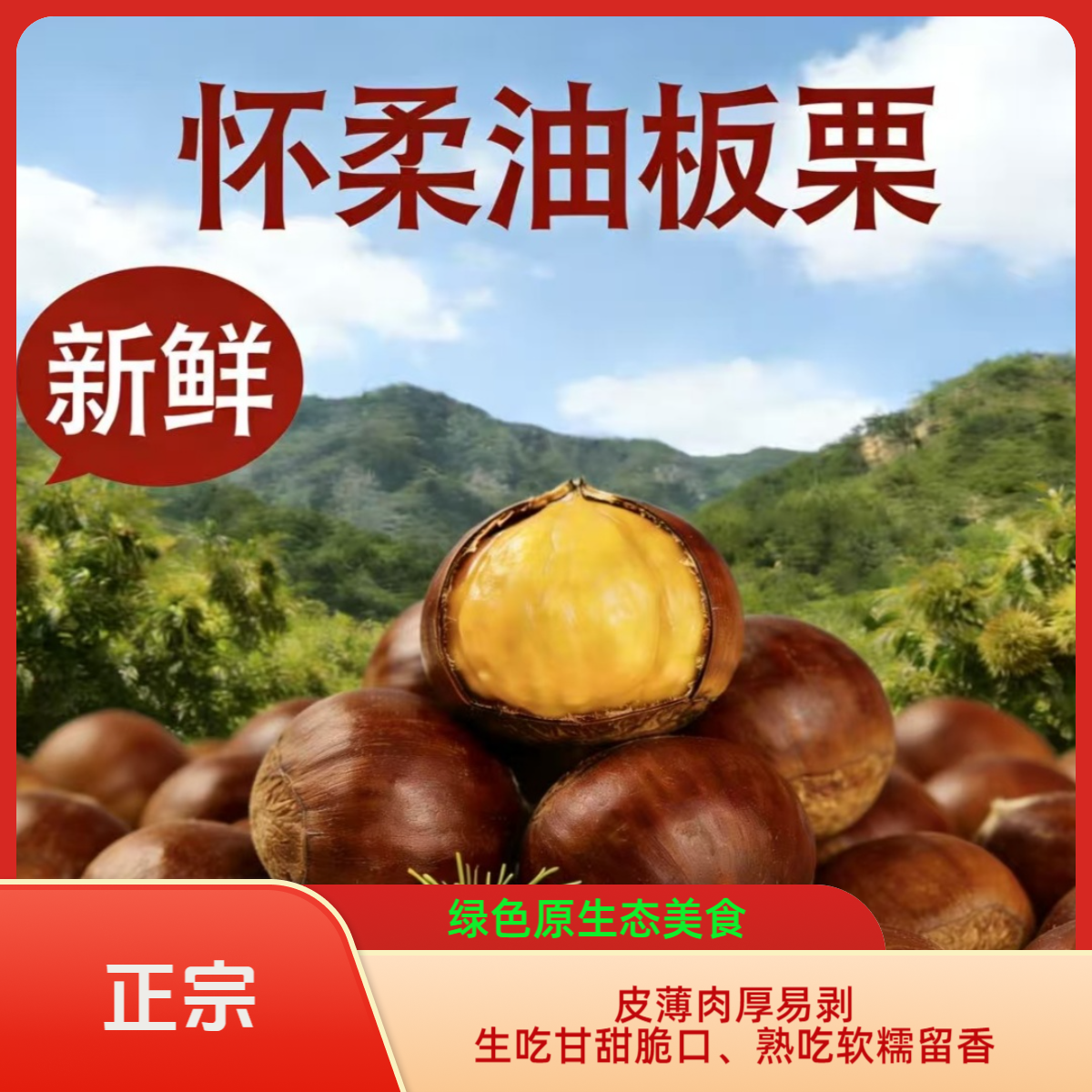 正宗怀柔老树油板栗、皮薄肉厚易剥、生吃甘甜脆口、熟吃软糯留香~