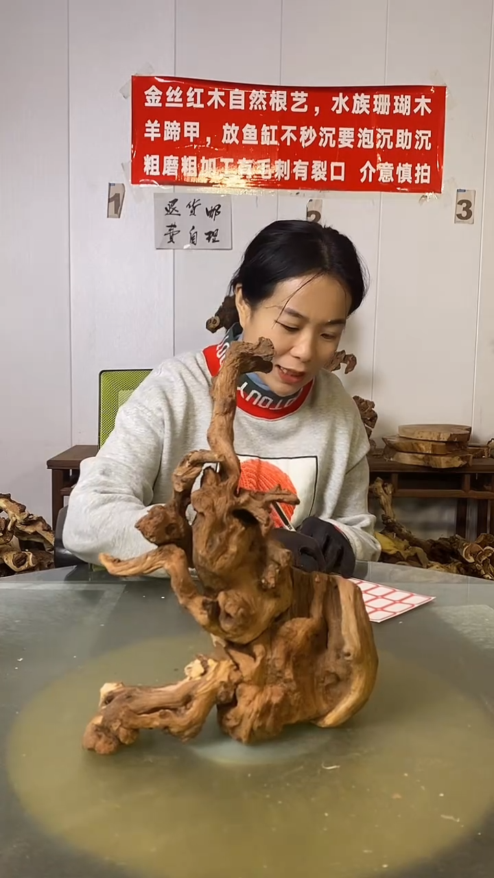 木爽***姐金丝红木  羊蹄甲