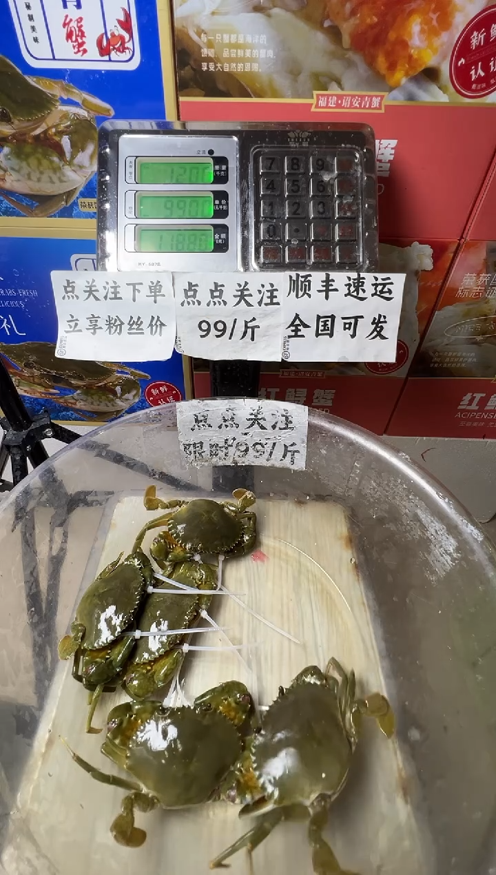 中国大陆福建漳州青蟹