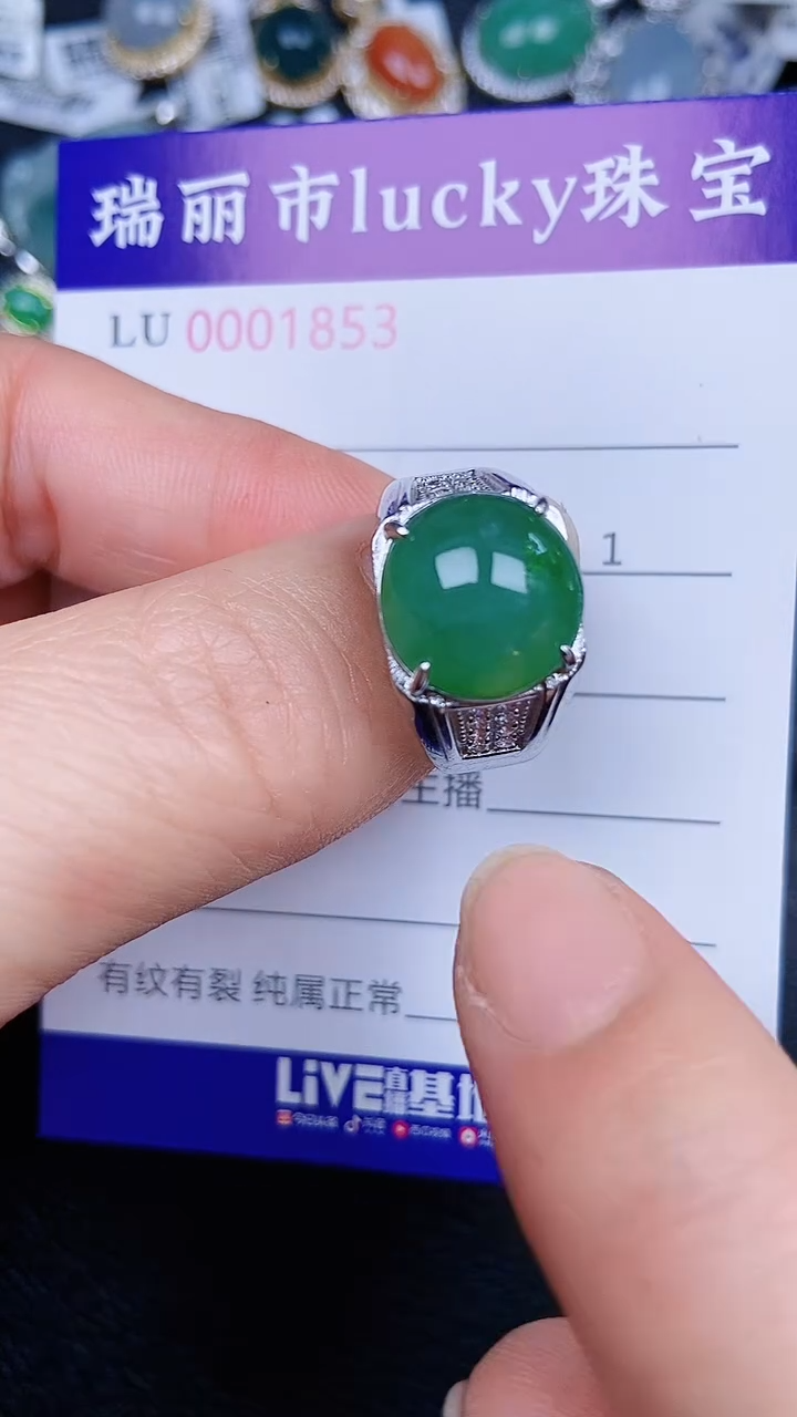 颈饰银S925镶嵌翡翠1853