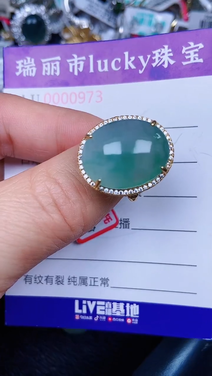 颈饰银S925镶嵌翡翠0973