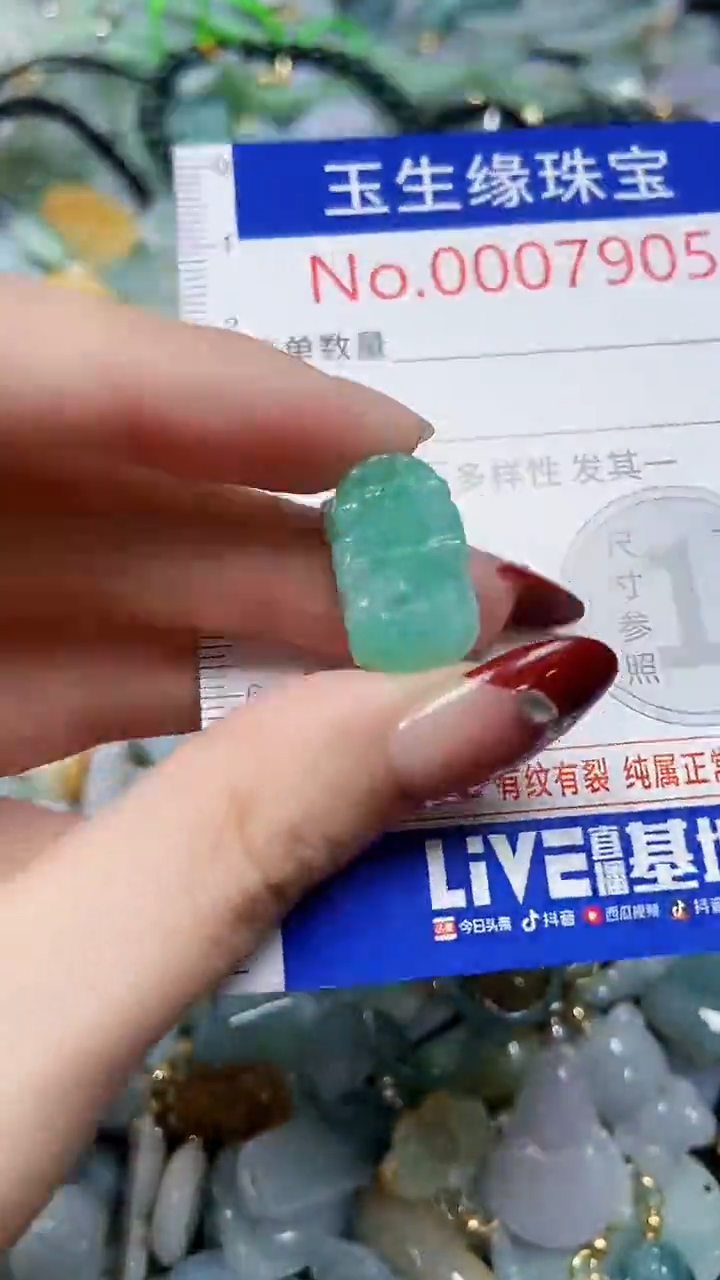 【闪购商品】翡翠颈饰未镶嵌闪购00007905