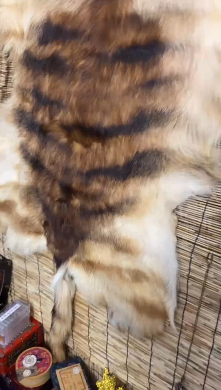 木特色=====福利盒