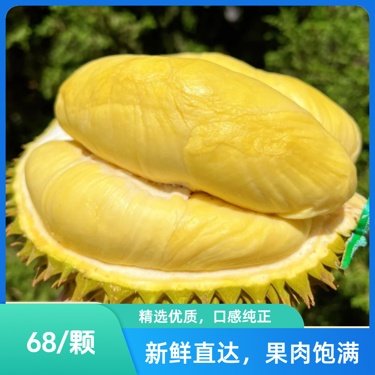 夹生偏熟福利果【长兴同城小时达】新鲜（不支持退回 不包售后）核小 一果一重保3斤肉金枕泰国