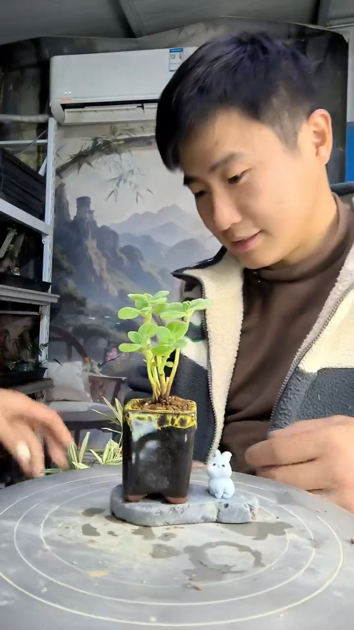 兰中青园艺一物一拍138