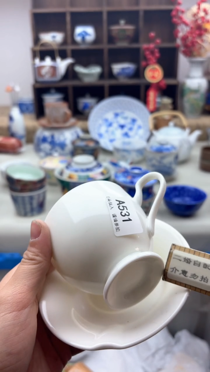 【闪购商品】碟531A..............