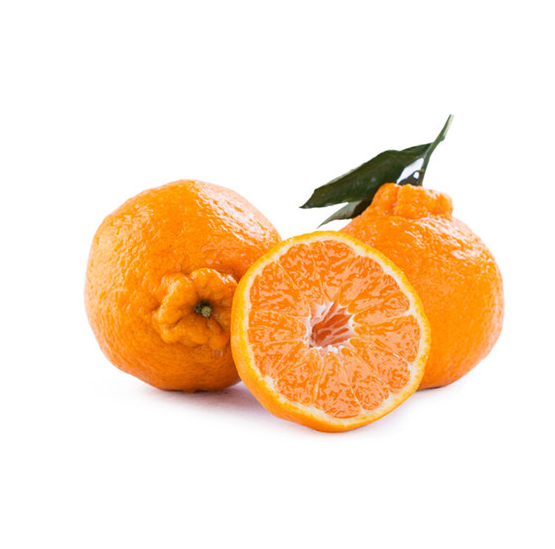 柑子不知火丑橘 约500g/份