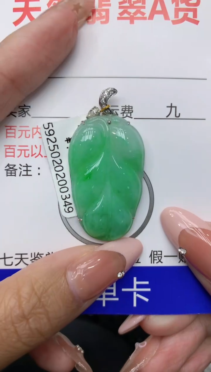 【闪购商品】翡翠颈饰18K金镶嵌111111111