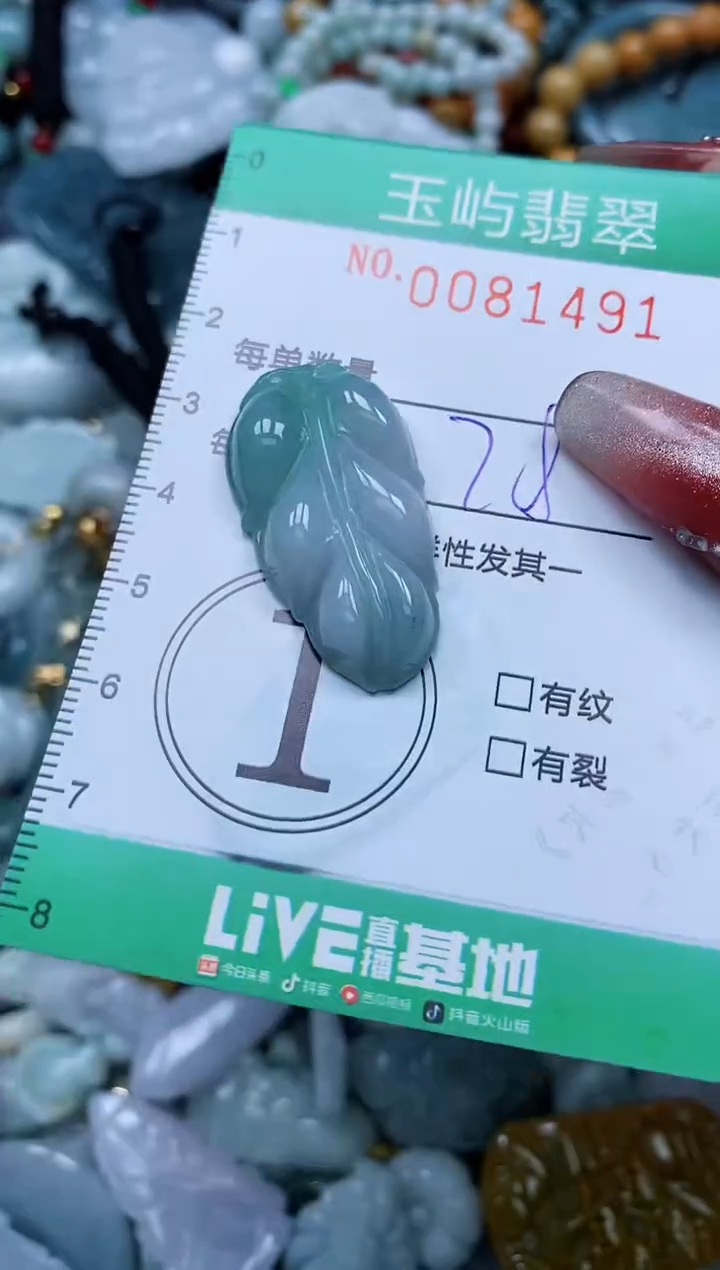 【闪购商品】翡翠颈饰未镶嵌闪购0081491