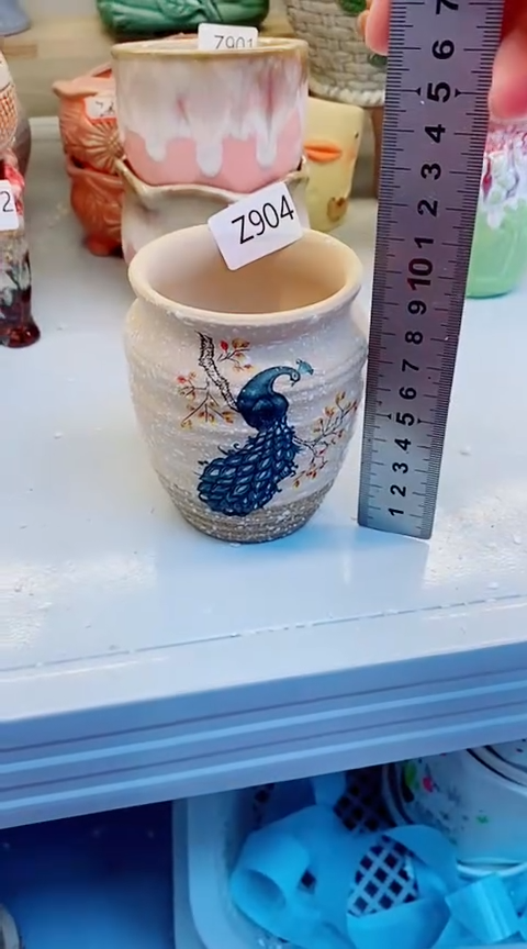 【闪购商品】陶瓷@@Z904