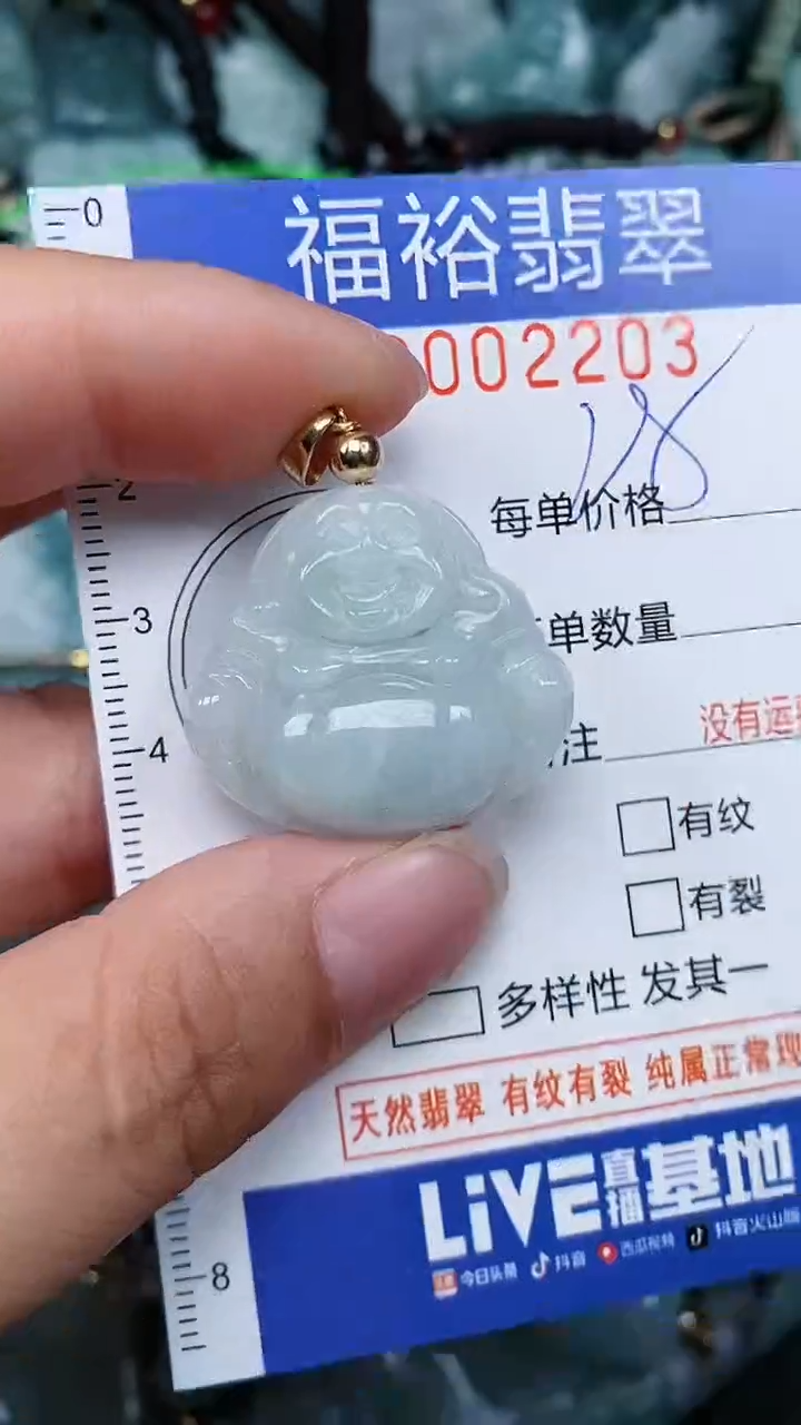 翡翠未镶嵌颈饰...0002203