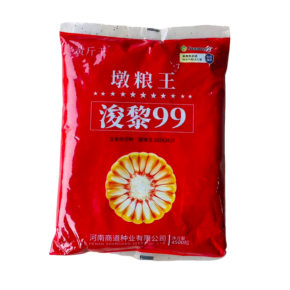墩粮王浚黎99水晶粮耐高温高产高抗倒高抗病，抗蜗牛优质玉米种子