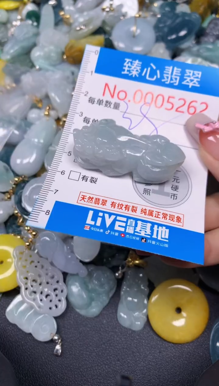 【闪购商品】翡翠颈饰未镶嵌含绳0005262