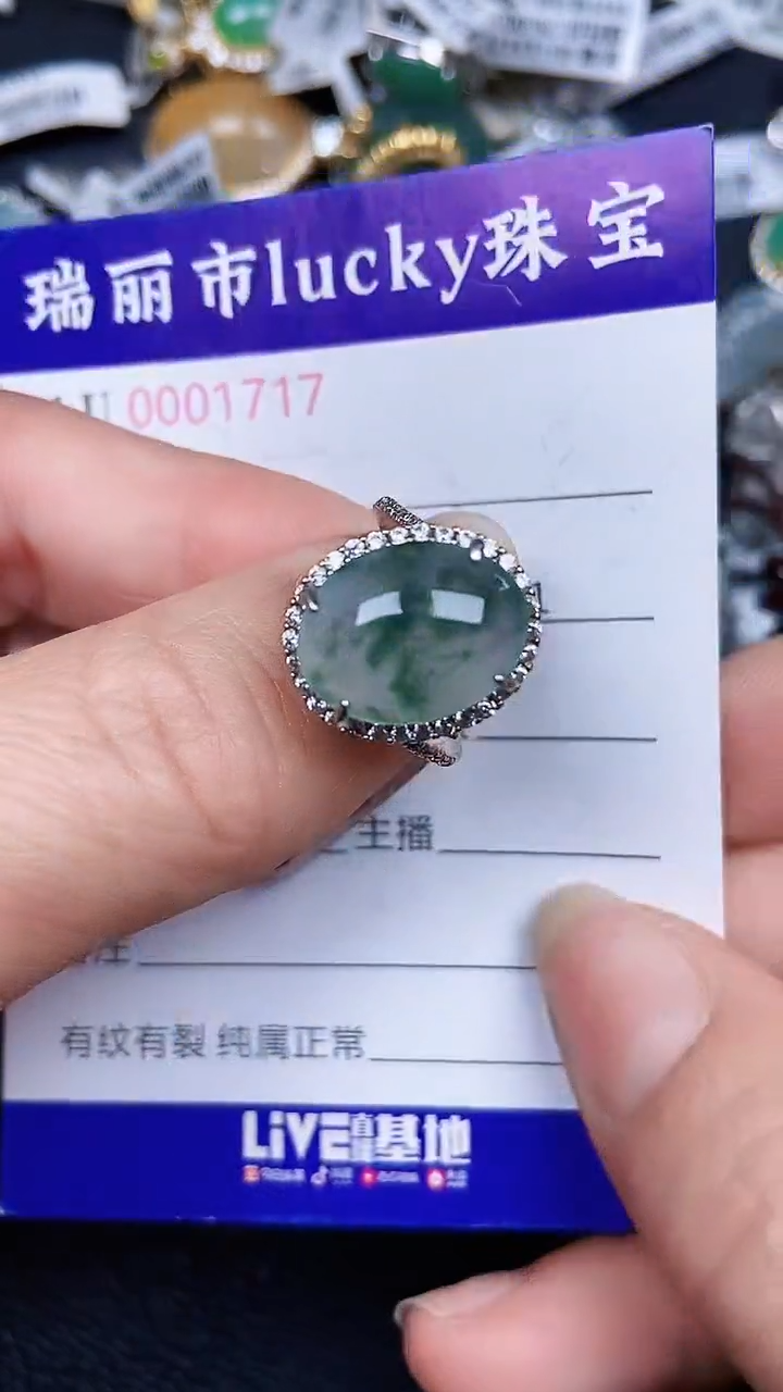 颈饰银S925镶嵌翡翠1717
