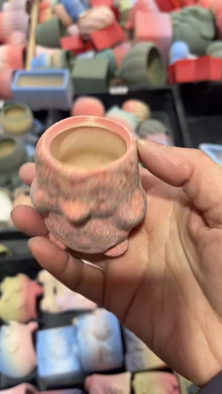 【闪购商品】红陶1111