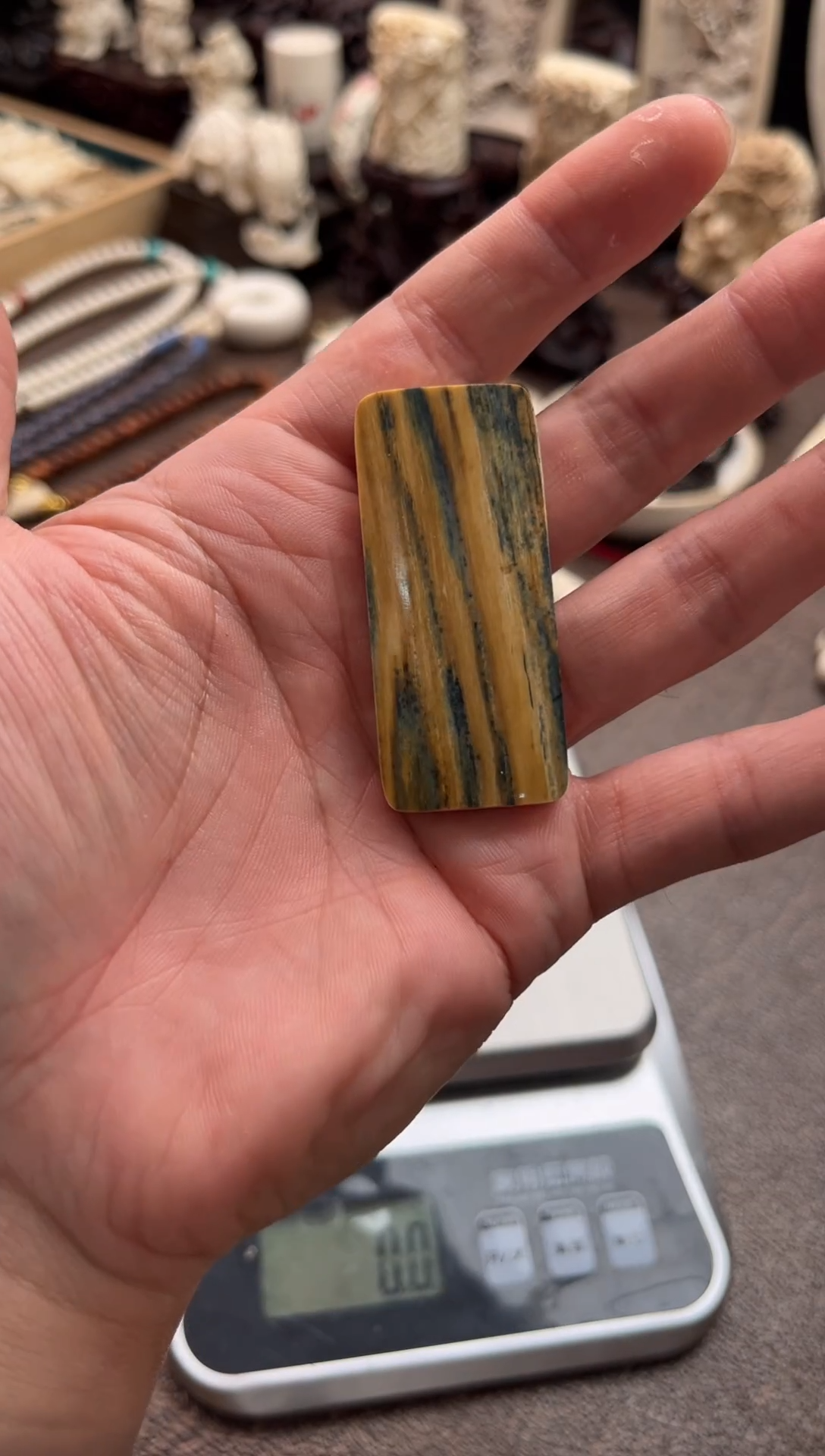 其他猛犸象牙111
