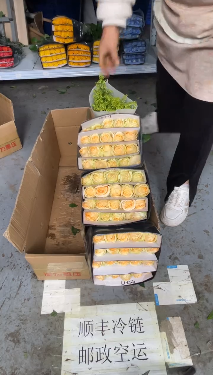 香槟3扎共60枝+黄莺