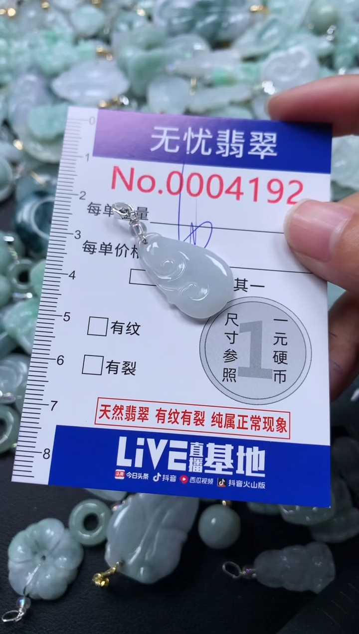 颈饰未镶嵌翡翠4192