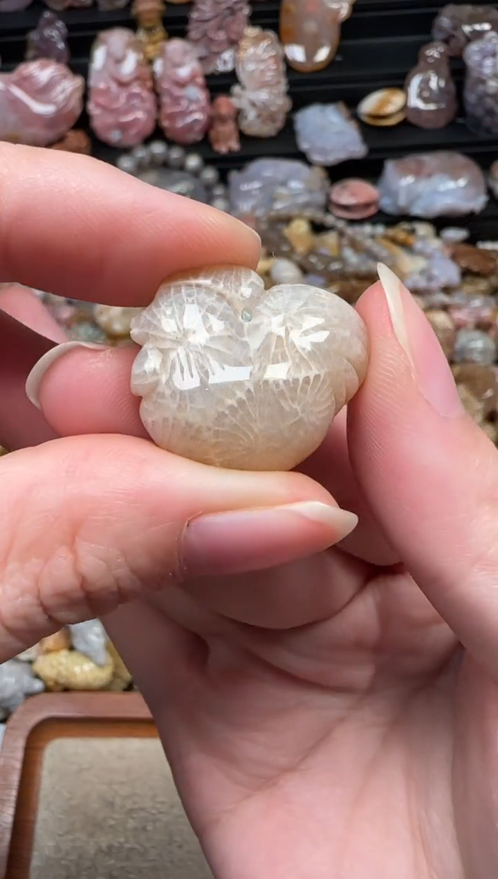 颈饰未镶嵌硅化珊瑚（珊瑚玉）759