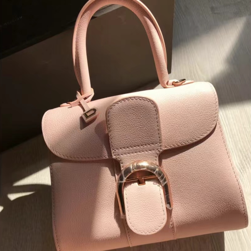 99新 Delvaux/德尔沃 小号粉色Brillant包