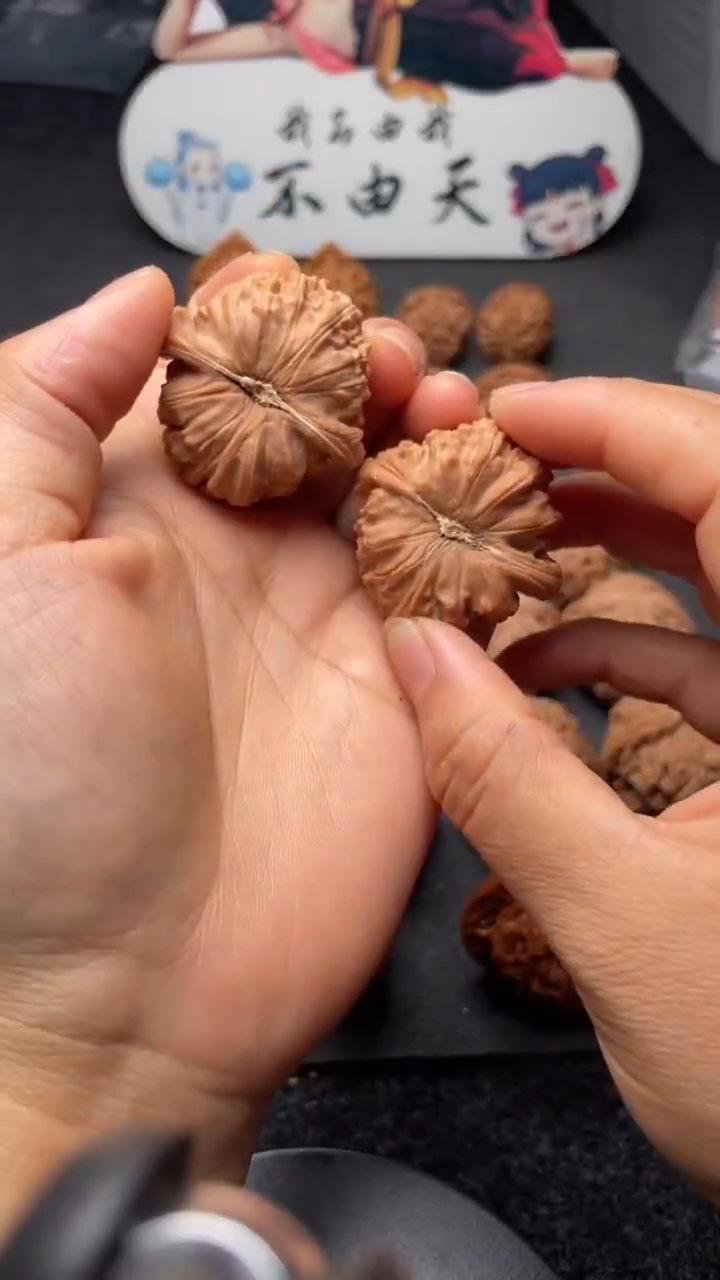 把件文玩核桃W039  白狮子  39