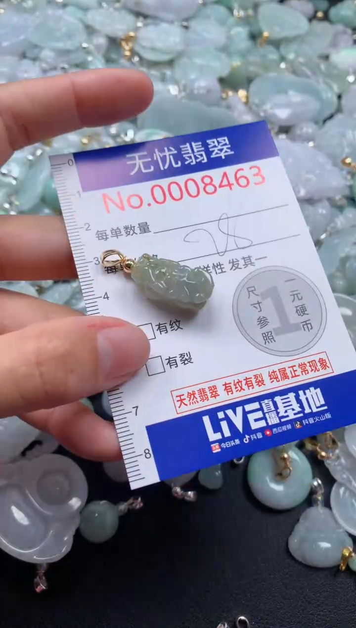 颈饰未镶嵌翡翠8463