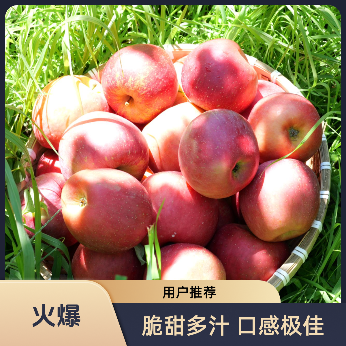 云南昭通丑苹果2025鲜生红富士201新果孕妇水果脆甜多汁脆甜多汁