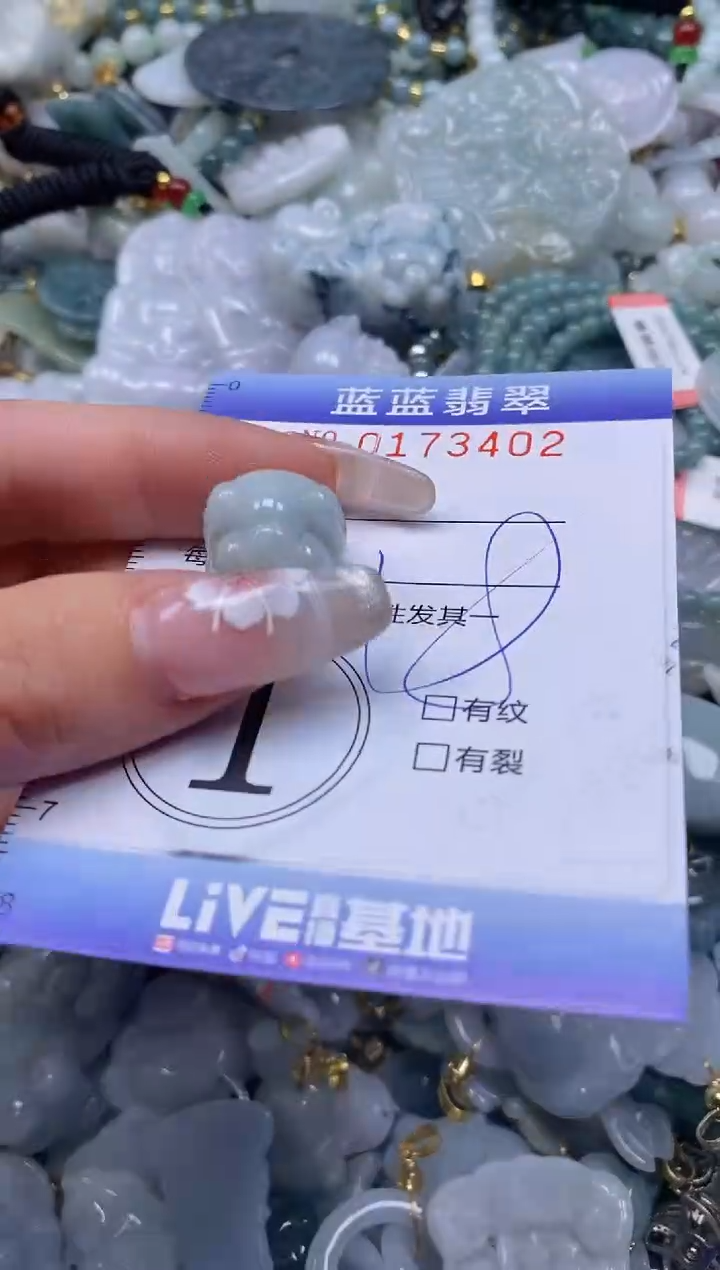 【闪购商品】翡翠颈饰未镶嵌闪购0173402