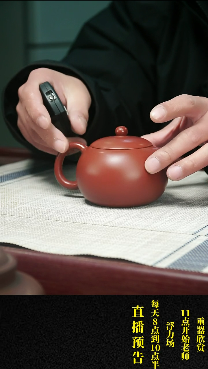 【闪购商品】紫砂茶壶紫砂 茶壶14