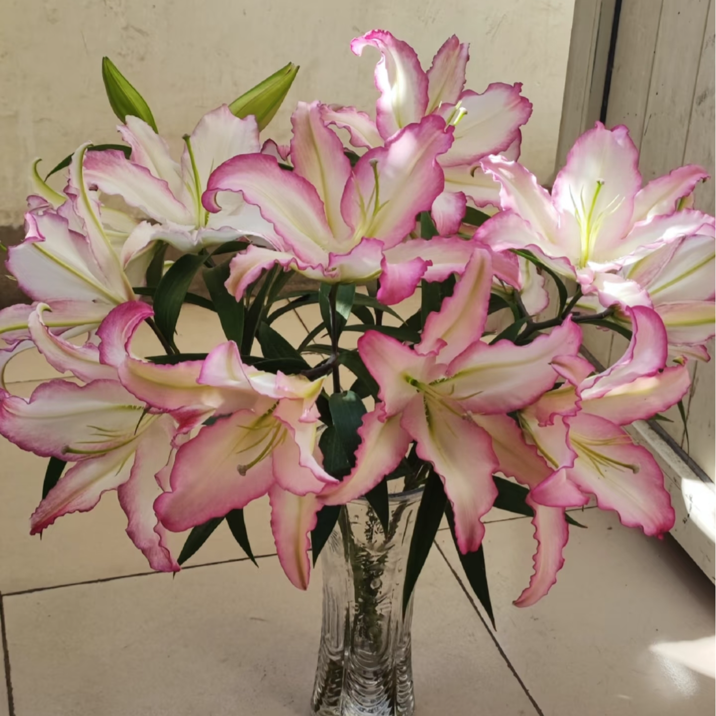 【唯一】东方百合鲜花顺丰包邮