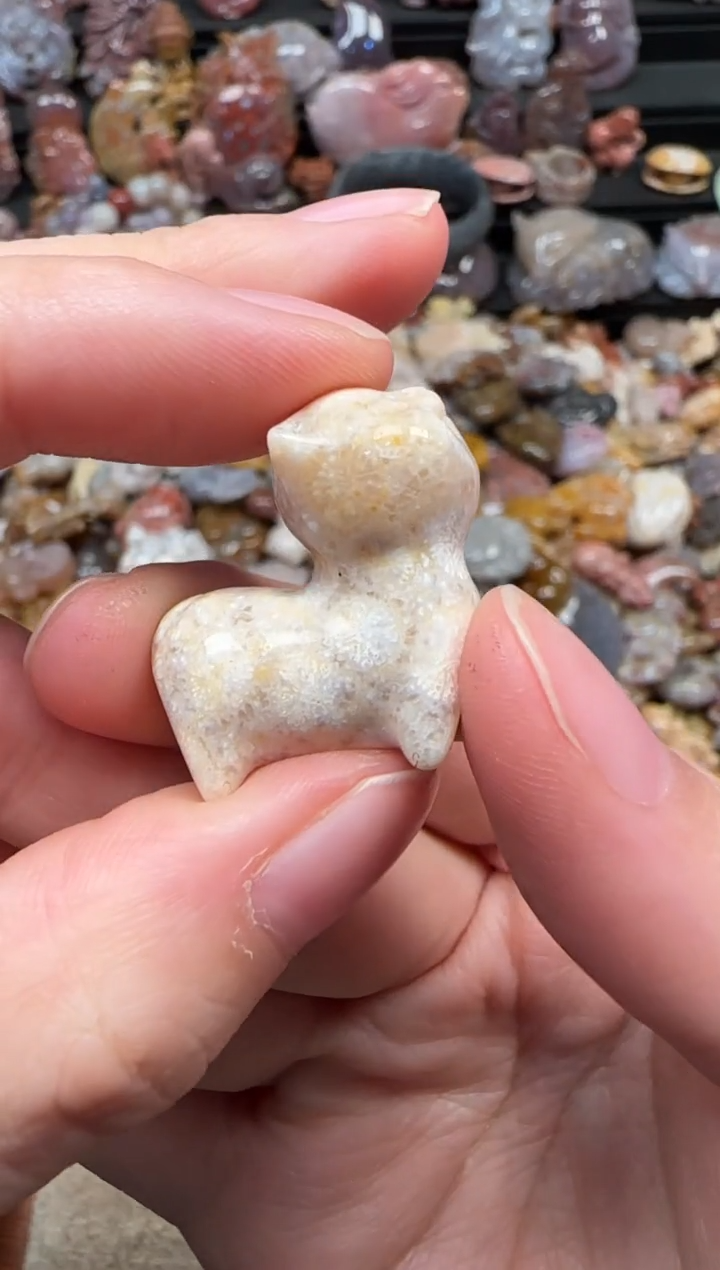 颈饰未镶嵌硅化珊瑚（珊瑚玉）229