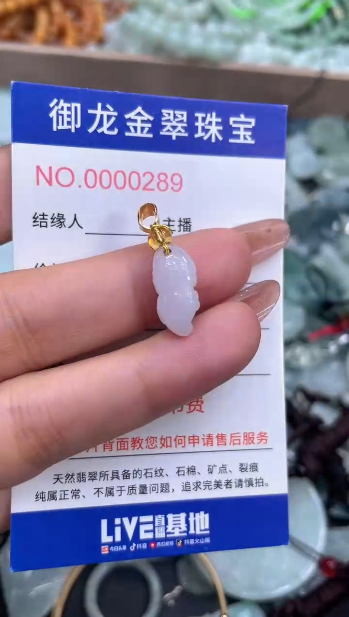 颈饰未镶嵌翡翠026