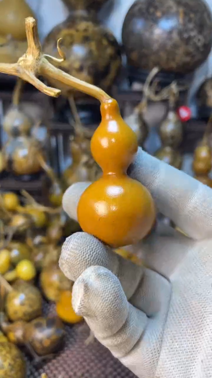 【闪购商品】葫芦葫芦葫芦葫芦葫芦